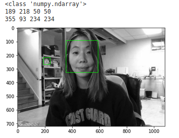 Haarcascades to filter out non-Frontally Aligned Faces