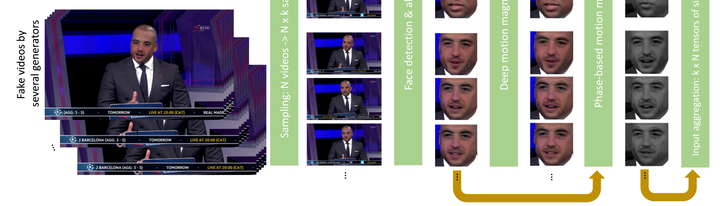 Taking a look at "How do Deepfakes Move?"